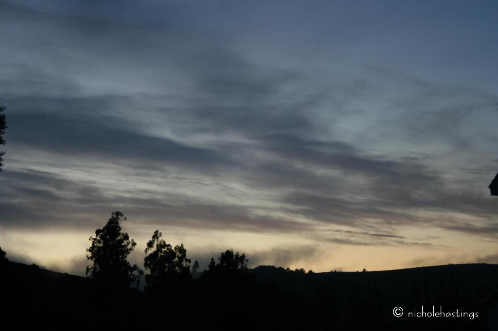 "Blue Dusk in Bodega" photographed by Nichole Hastings