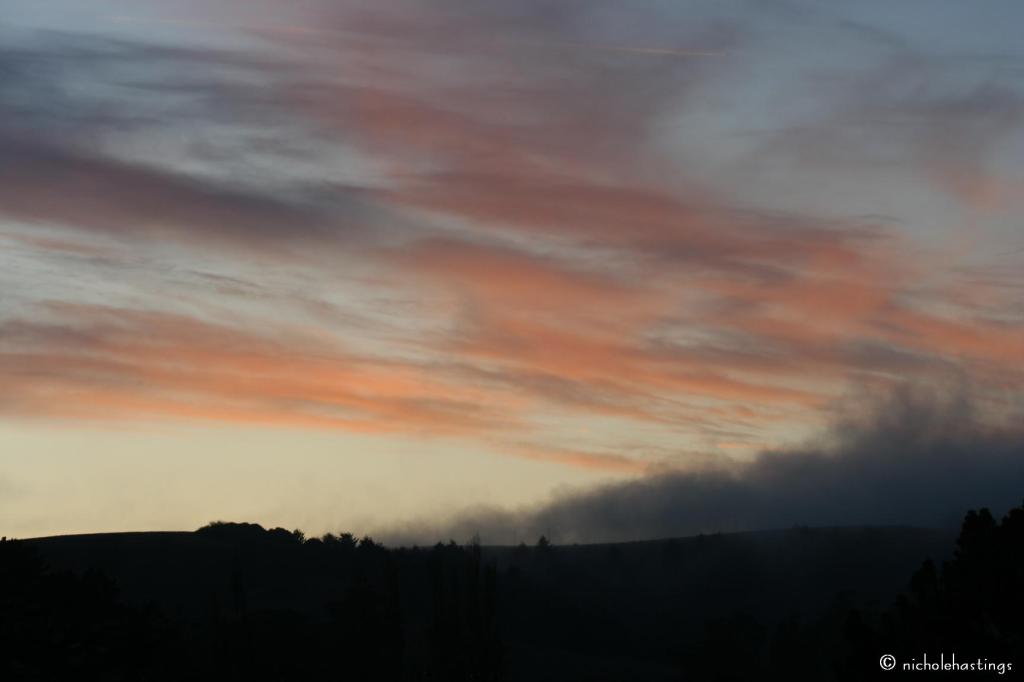 "Red Dusk in Bodega" photographed by Nichole Hastings