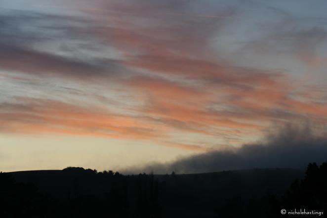 "Red Dusk in Bodega" photographed by Nichole Hastings