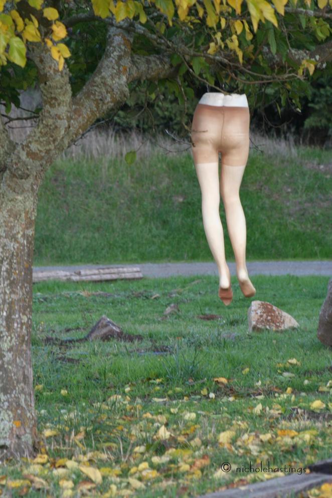 "Hanging Out" photographed by Nichole Hastings