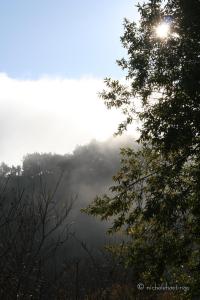 "Takeover No. 2" photographed by Nichole Hastings