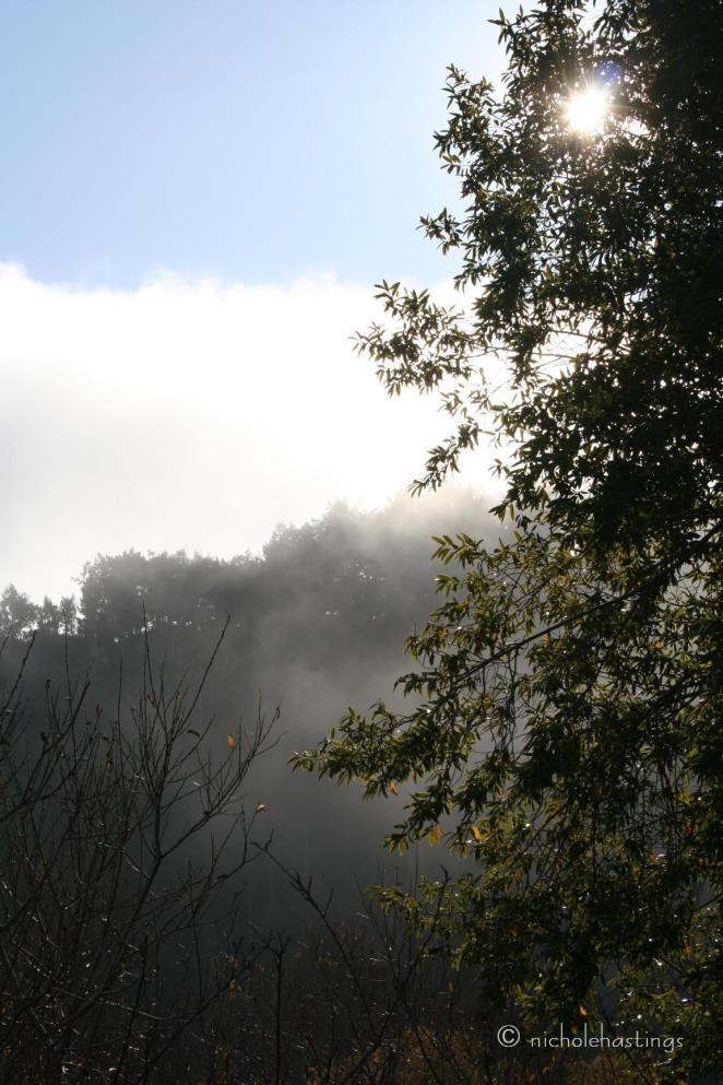 "Takeover No. 2" photographed by Nichole Hastings "Takeover No. 2" photographed by Nichole Hastings