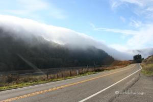 "Takeover No. 3" photographed by Nichole Hastings