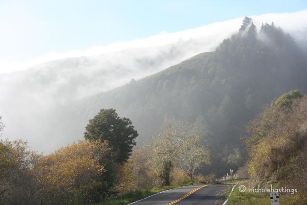 "Takeover No. 5" photographed by Nichole Hastings