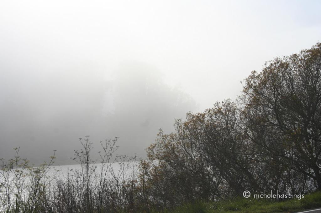 "Takeover No. 6" photographed by Nichole Hastings