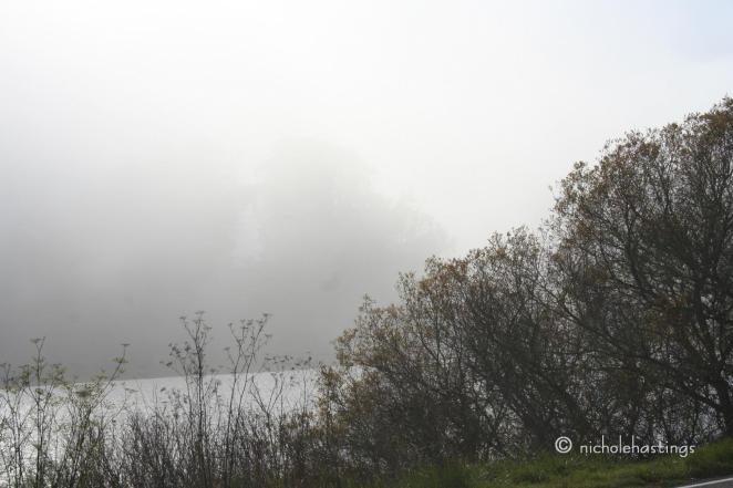 "Takeover No. 6" photographed by Nichole Hastings