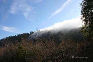 "Takeover" photographed by Nichole Hastings