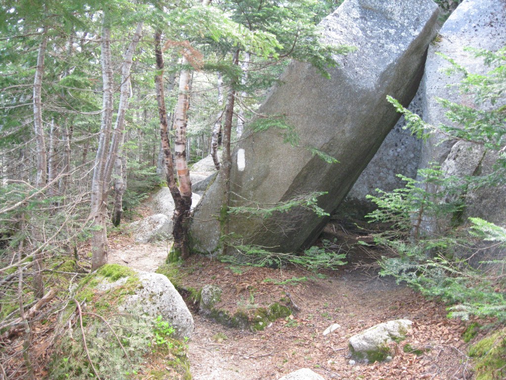 photographed by Nichole Hastings, Hunt Trail, Mount Katahdin, May 30, 2010