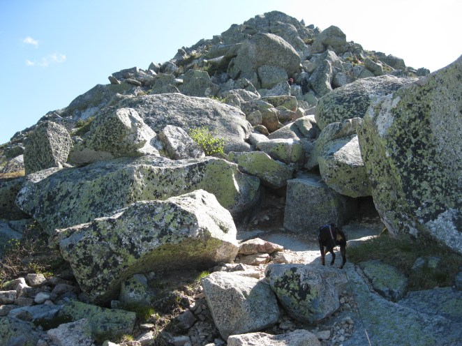 photographed by Nichole Hastings, Hunt Trail, Mount Katahdin, Baxter State Park, ME, May 30, 2010.