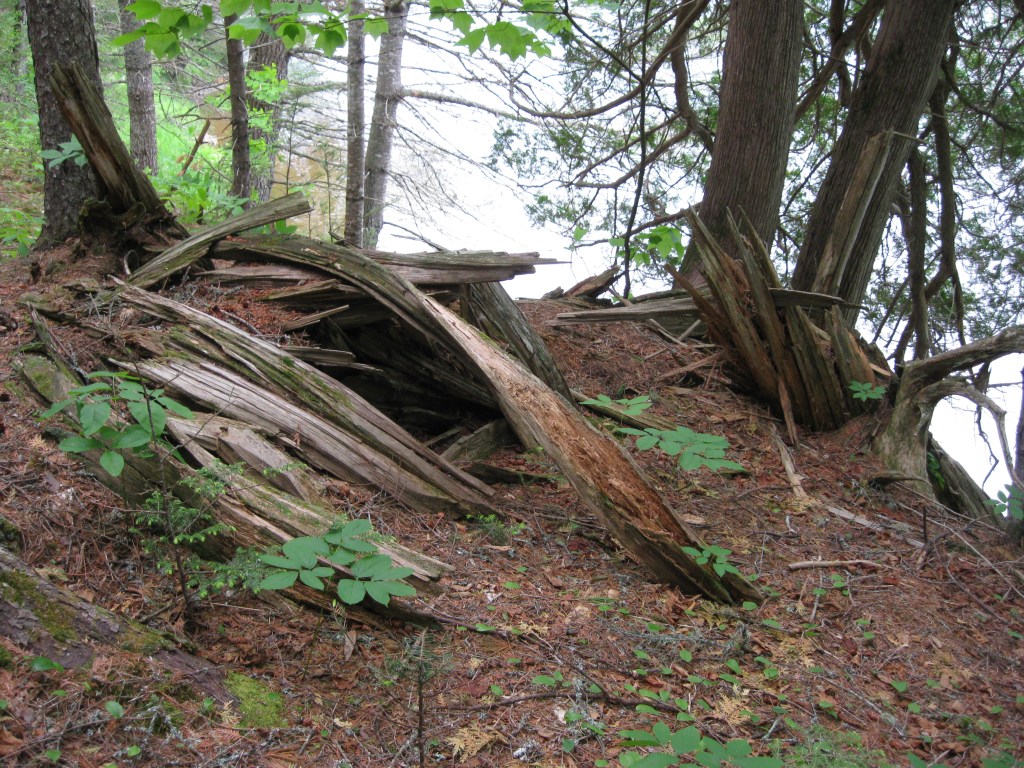 Appalachian Trail Southbound, Baxter State Park, Maine, May 30, 2010.