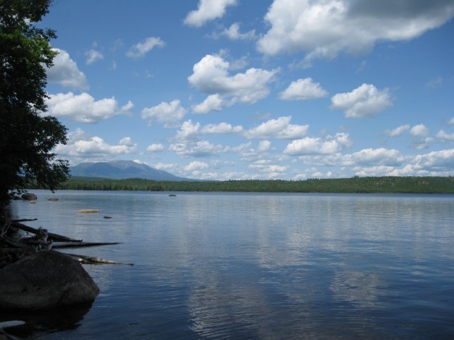 photographed by Nichole Hastings