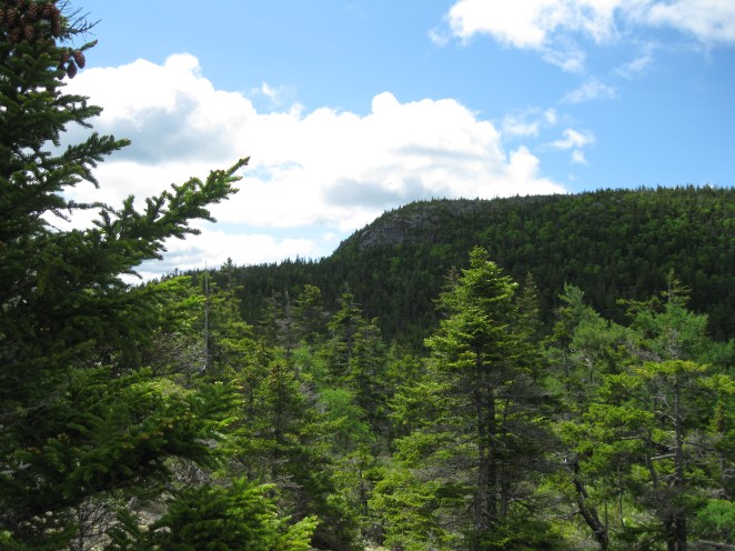 photographed by Nichole Hastings