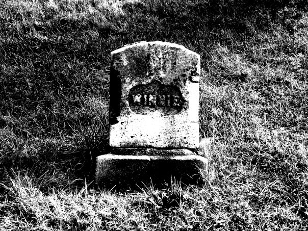 "Here Lies The Poo" photographed by Nichole Hastings