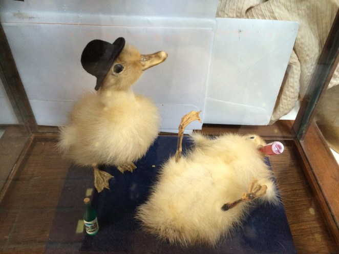 Shop display at Who Is Sylvia? in Woodstock Vermont. Photograph by Nichole Hastings.