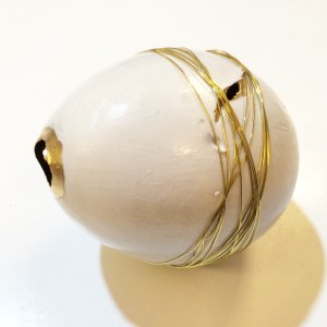 Political Protest in America
